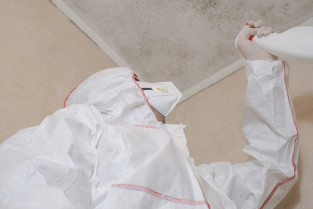 Best Mold Removal Process  in Black Jack, MO